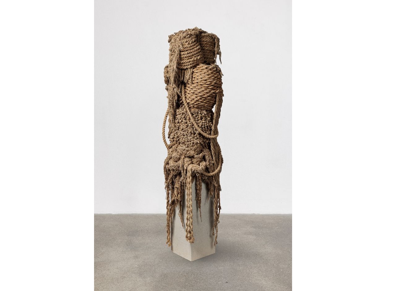 Soli Kiani, Knot 8, 2024